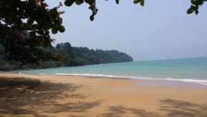 Thailand Strand Meer Palmen blick auf den Nationalpark in Khao Lak