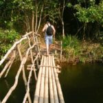 Bambussbrücke über einen See